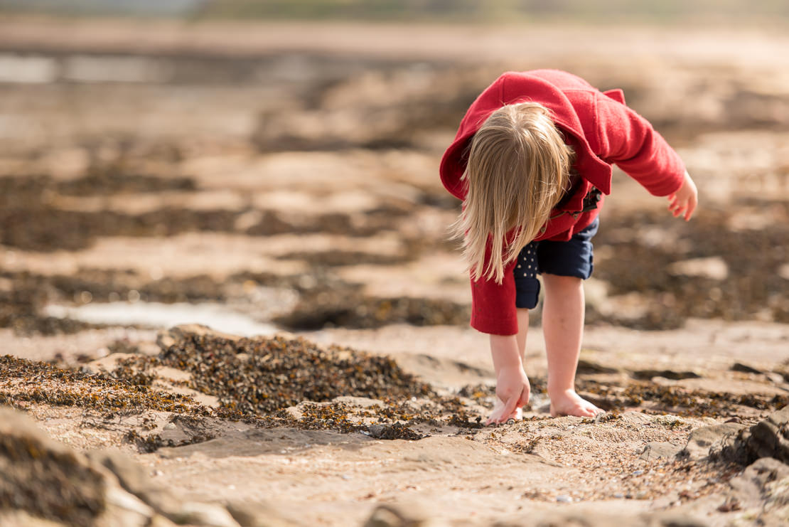 family photographer Edinburgh - little girl picking up seashells on Tyninghame beach