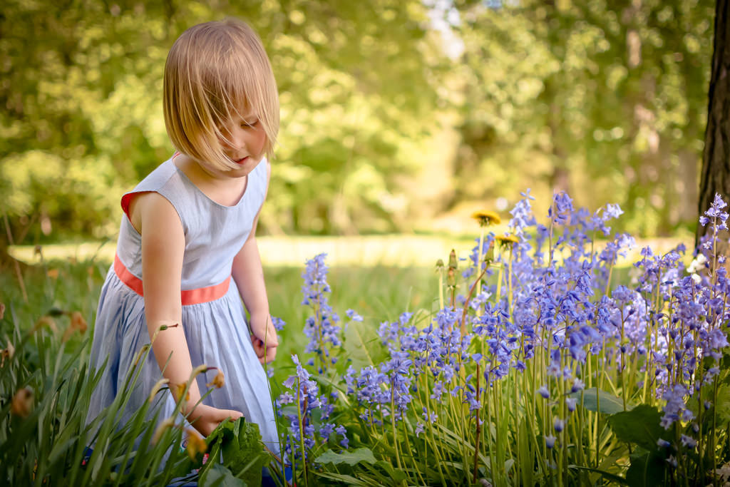 Family photographer Edinburgh - 3 year old blonde haired girl in blue and red dress in a bluebell wood with evening sunshine