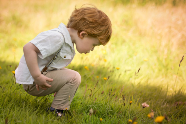 Family photographer Edinburgh - 2 year old boy with red hair squatting down looking at flowers growing in the field