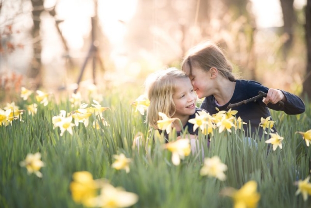 Family photographer Edinburgh - two little girls in the daffodils whispering to each other in the evening sunshine