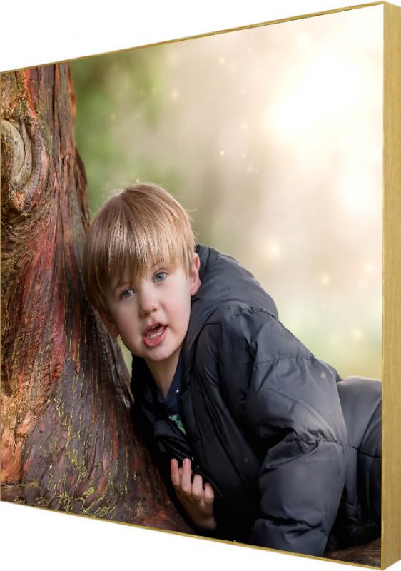 Family photographs help children's self-esteem - square mounted wall portrait photograph of little boy in a tree