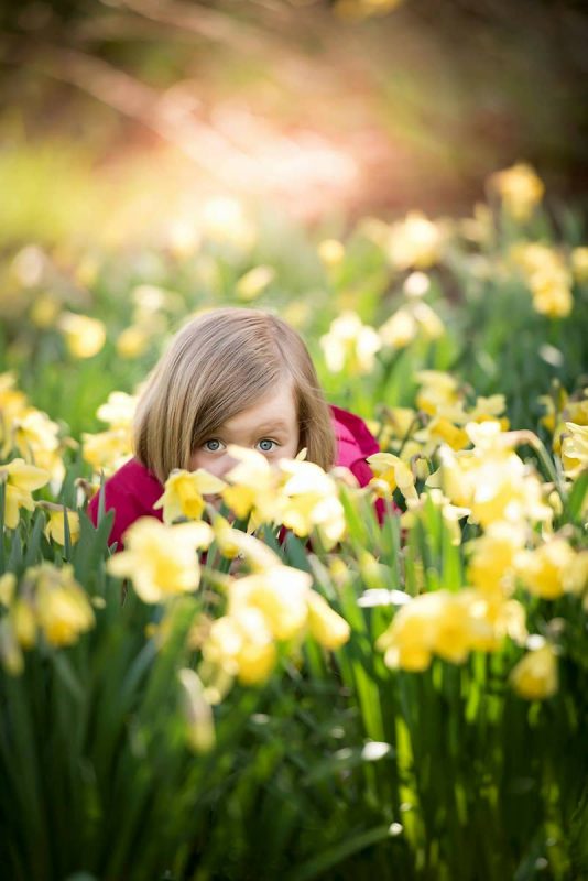 Tea Break Tog Awards - Little girl in pink coat kneeling down in daffodils, peeking over top