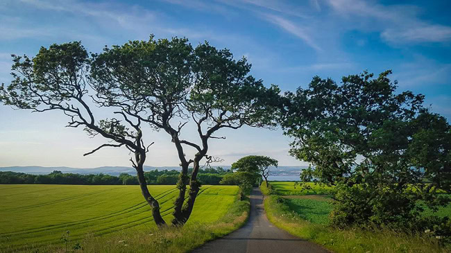 Green fields and trees leading down to the Firth of Forth with Fife in the distance