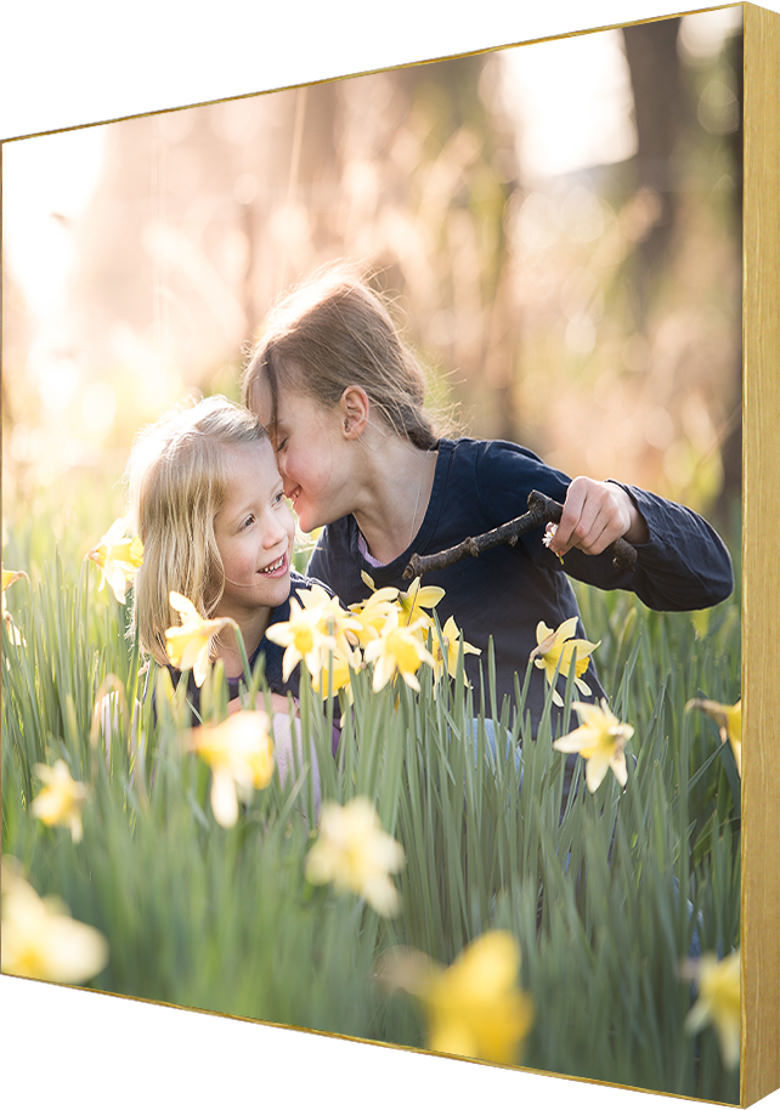Box frame wall art of two little girls sitting in daffodils whispering