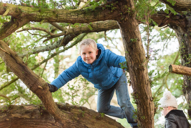 Family photographer Edinburgh - boy in tree wearing blue coat