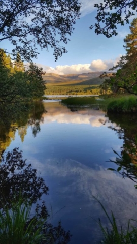 Loch Morlich, looking towards the Cairngorms, Inverness-shire, Highlands of Kingussie