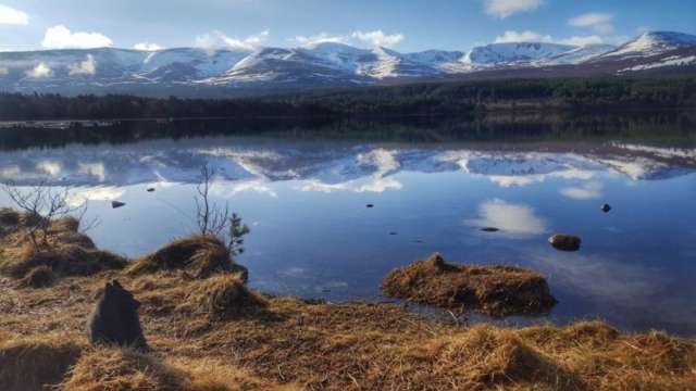 Loch Morlich, looking towards the Cairngorms, Cairngorms National Park, Inverness-shire, Highlands of Scotland