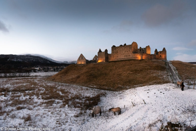 Horses in front of Ruthven Barracks, Kingussie, Badenoch, Inverness-shire, Highlands of Scotland