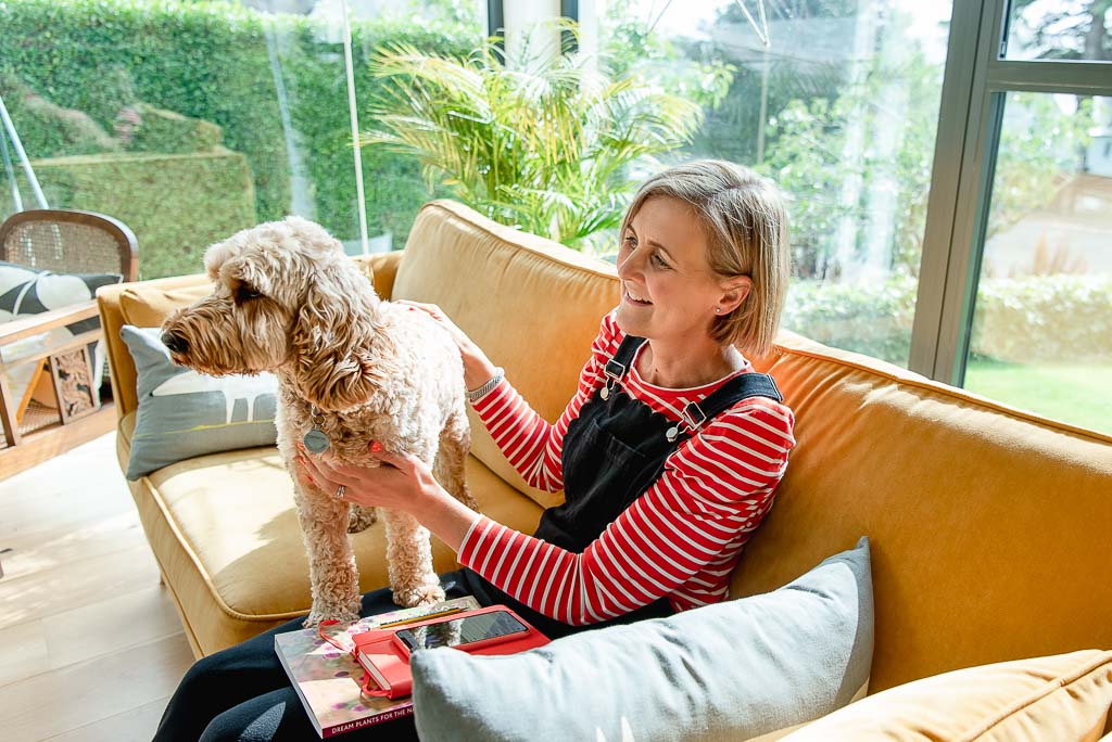 Brand photographer Scotland shoot for landscape gardener woman sitting on couch holding fluffy dog