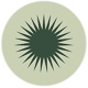 Brand photographer Edinburgh Scotland sunburst logo